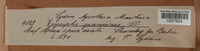 Blumeria graminis image